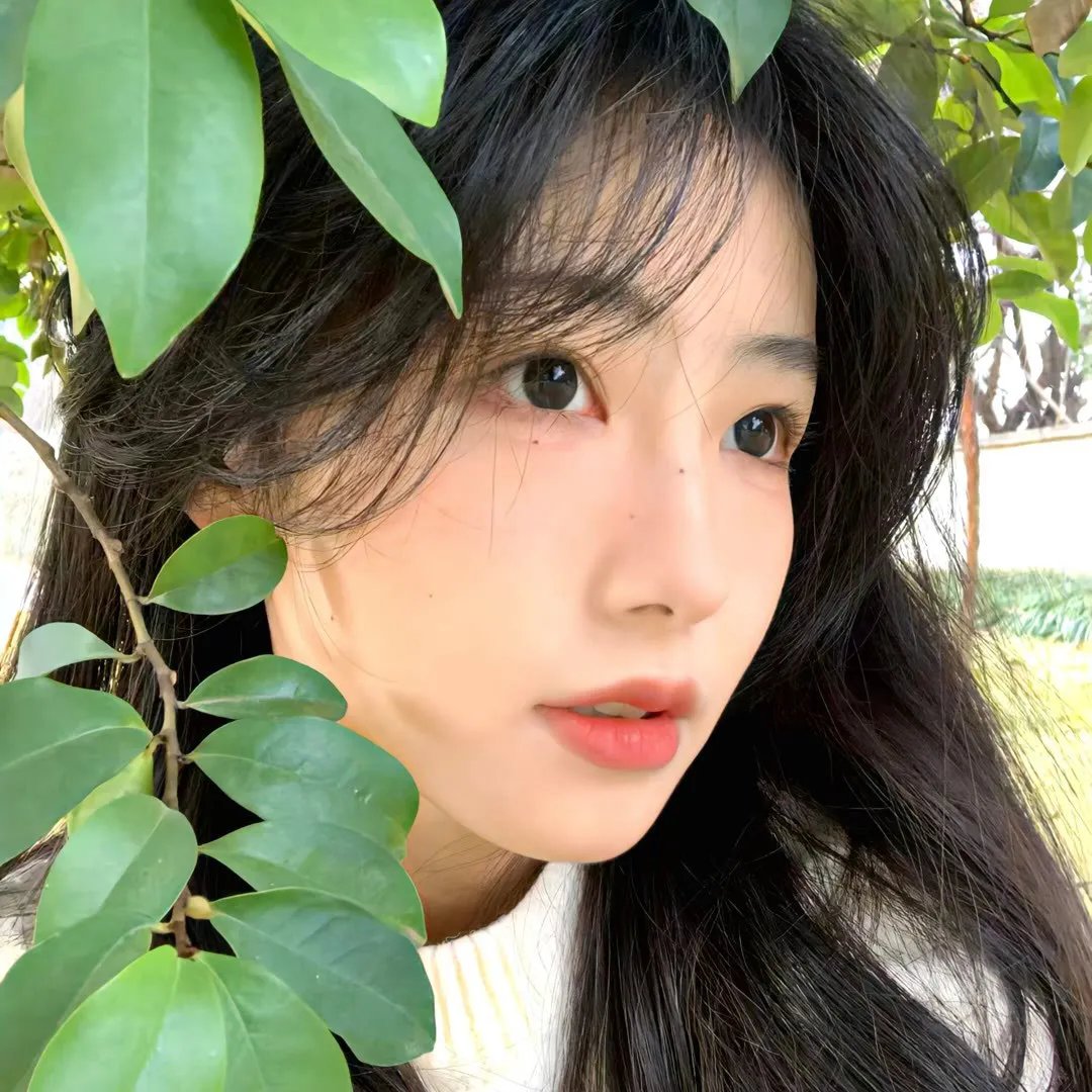 海尔兄弟